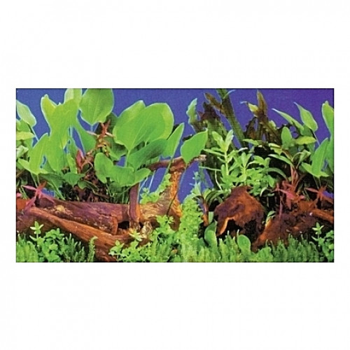 Poster HOBBY Plantes 1/5 100x50cm DF HOBBY