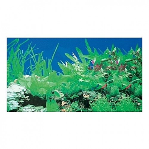 Poster HOBBY Plantes 1/5 100x50cm DF HOBBY