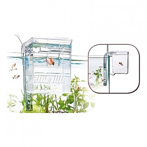 Pondoir externe Amtra/Wave Fish Hatchery - 0,7L