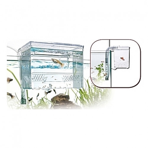 Pondoir externe Amtra/Wave Fish Hatchery - 1,2L