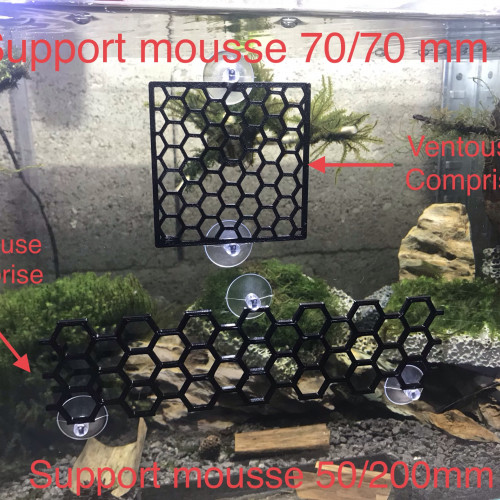 Support mousse 70/70 mm