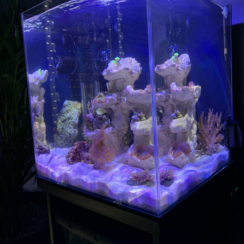 Nano aquarium 40 litres tout équipé