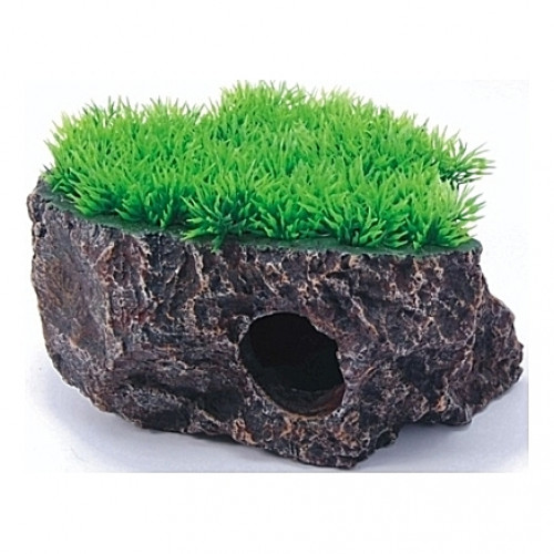 Roche plateau avec plante - 20x16x12cm