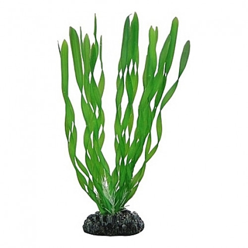 Plante artificielle Vallisneria 20cm