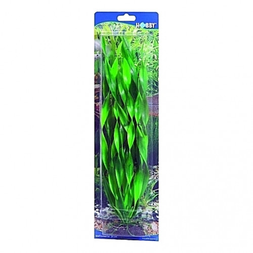 Plante artificielle Vallisneria 34cm