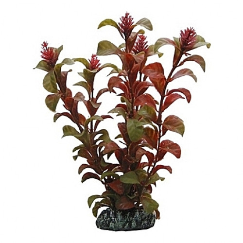 Plante artificielle Rotala 16cm