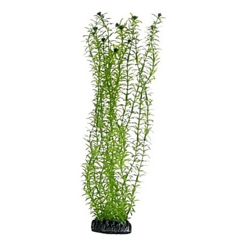 Plante artificielle Lagarosiphon 34cm