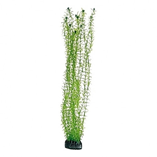 Plante artificielle Lagarosiphon 60cm