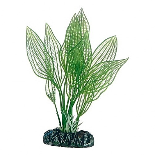 Plante artificielle Aponogeton 16cm