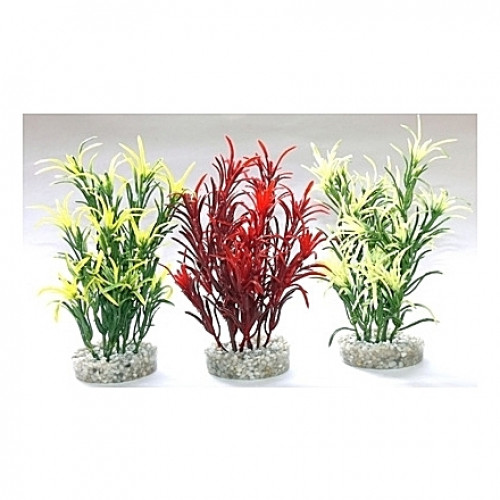 Herbes 16cm