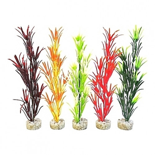 Plantes sauvages 16cm