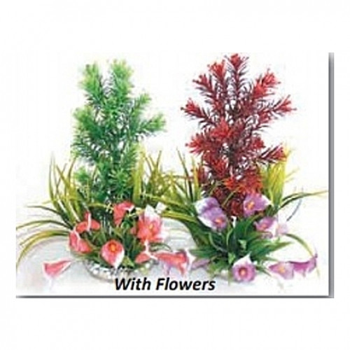 Plantes paradis avec fleurs 28cm