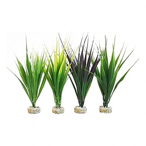 Oasis herbes 16cm