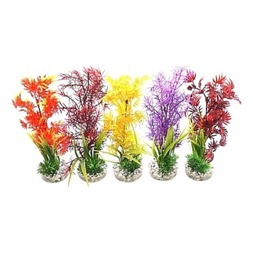 Cocktail de plantes colorées 25cm