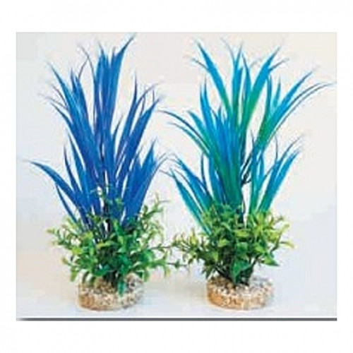 Plantes bleues 27cm