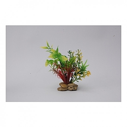 Assortiment de plantes 15cm