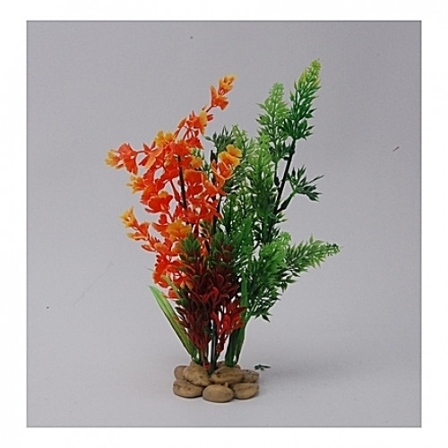 Assortiment de plantes 26cm