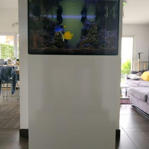 Aquarium récifal Elos system 70 Diamond Line 210L + meuble, vide