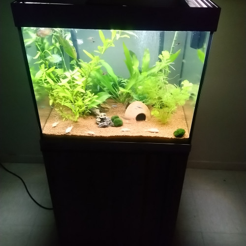 A vendre aquarium complet de 150 litres