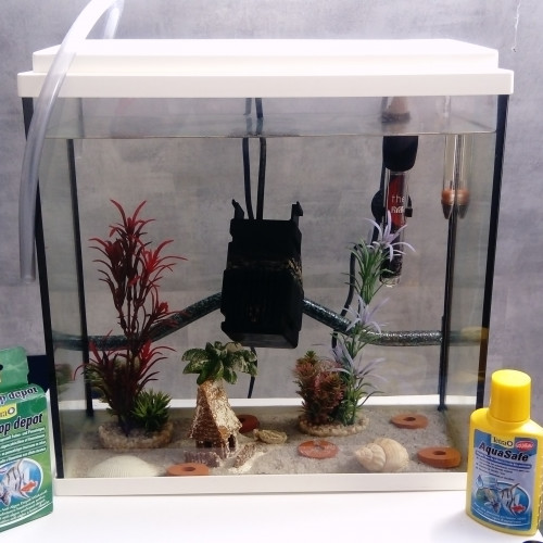 aquarium complet 20L