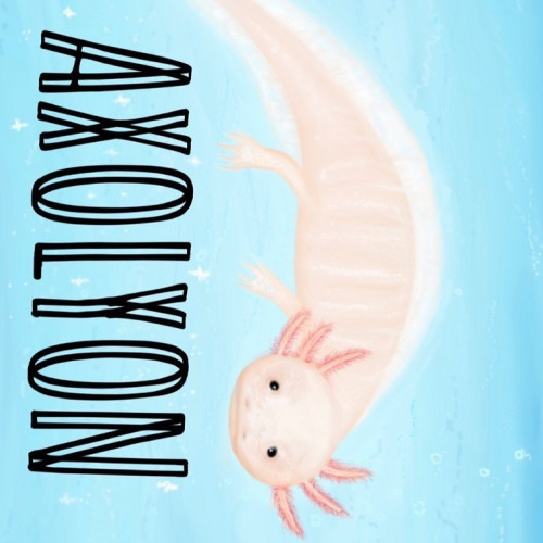 Ventes axolotls Lyon