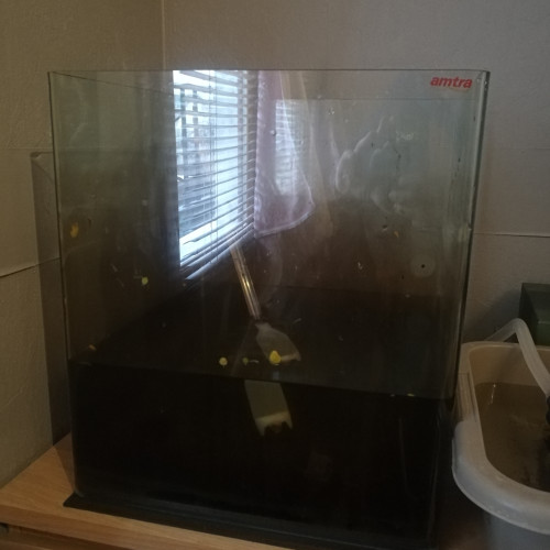 Cuve Amtra 60L cubique Bord arrondis