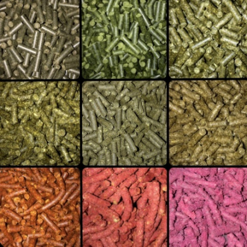 Pellets pour crevettes & Écrevisses