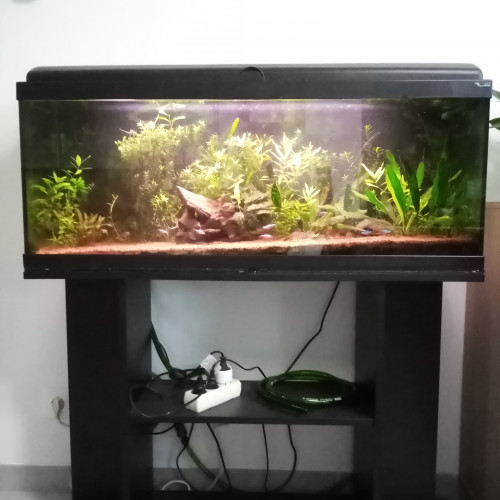 AQUARIUM AQUADREAM 100 + MEUBLE