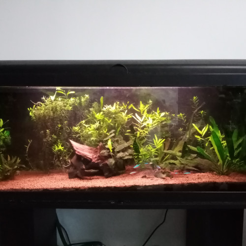 AQUARIUM AQUADREAM 100 + MEUBLE