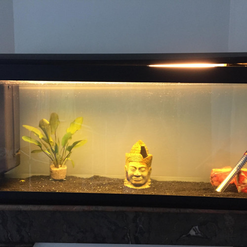 Aquarium 120L