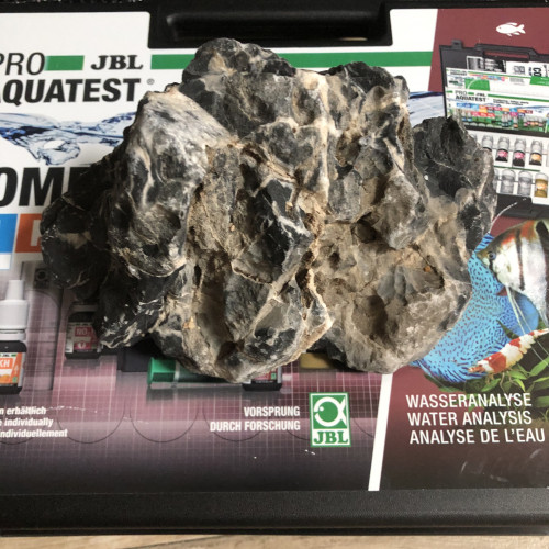 Seiryu Stone