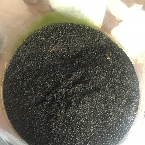 Cède aquarium cylindrique et substrat