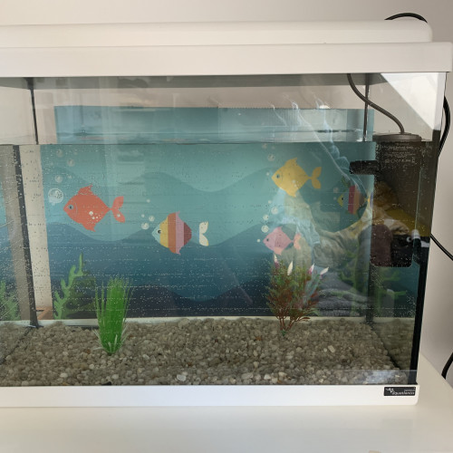 Aquarium 50L avec filtre