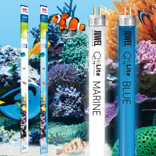 Lot Tubes fluorescents HiLite T5 pour aquarium d'eau de mer - MARINE et BLUE - JUWEL