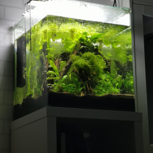 Aquarium 60L