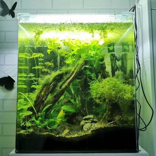 Aquarium 60L