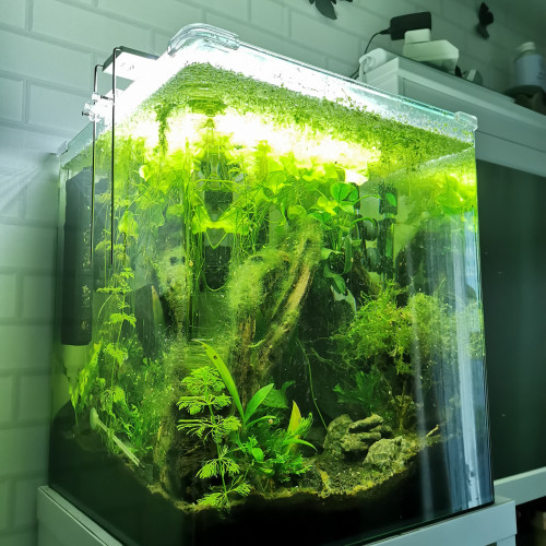 Aquarium 60L