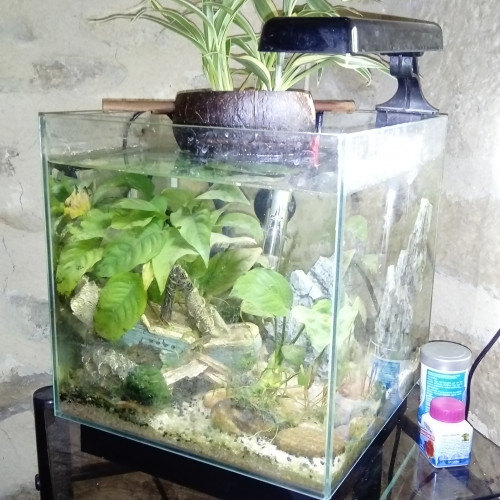 aquarium 20L complet