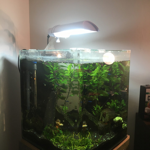 Aquarium 60 L