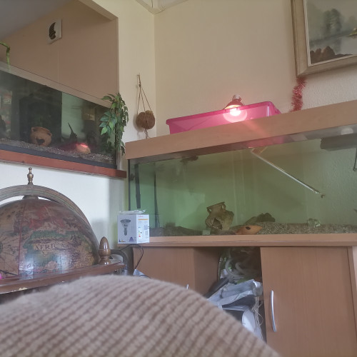 Vend Aquarium 250