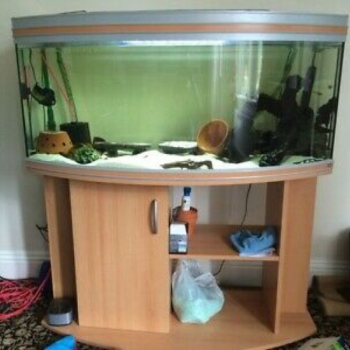URGENT : Ensemble meuble + aquarium RENA 260 L + accessoires