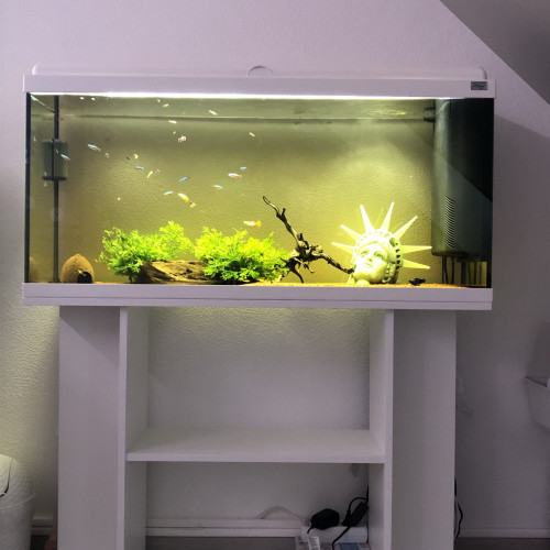 aquarium complet