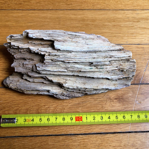 Pierres issues de bois pétrifiés et fossilisés