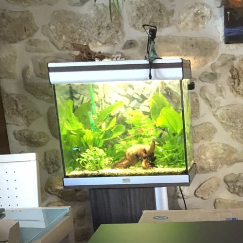 Vends Aquarium Aquatlantis 90 litres complet