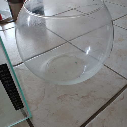 Vends lot complet 3 aquariums 10, 12 et 17L.