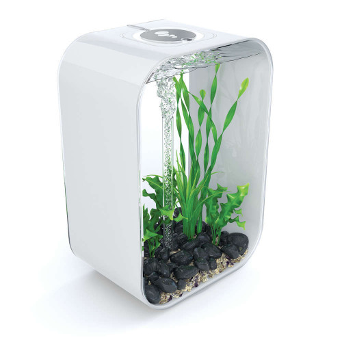 Aquarium biorb life 45l + nombreux accessoires