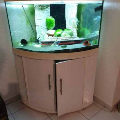 Aquarium 190L + Meuble