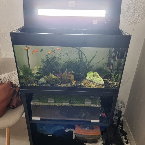 Aquarium + meuble Askoll pure led XL 90L