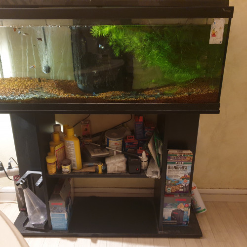 Aquarium complet avec meuble intégré