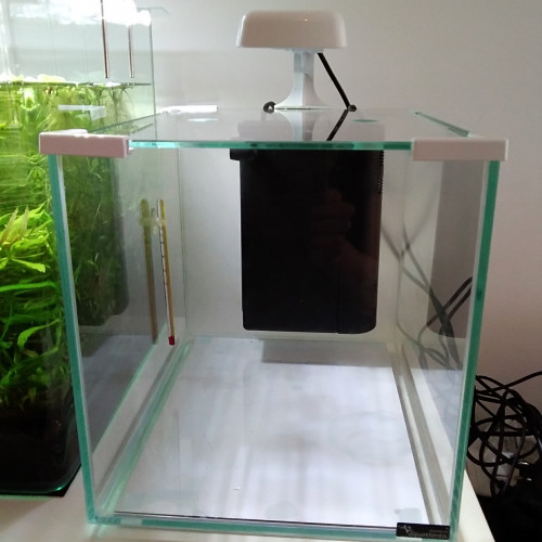 Nano Aquarium 20L complet lampe, pompe, filtre, chauffage - 2 disponibles